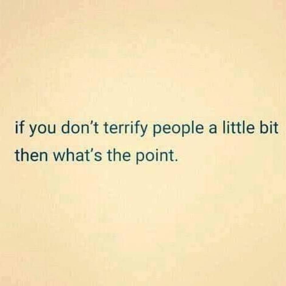 Meet your Posher, Shelby